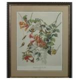 RUBY THROATED HUMMINGBIRDS BY JOHN AUDUBON