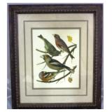 Framed Bird Print