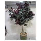 Large Tree with brass Planter