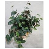 Still Plant in Andrea Pot