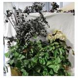 Sill life plants