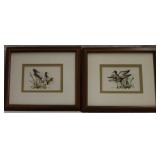 set of 2 framed duck prints