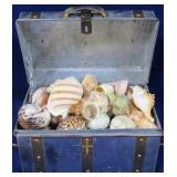 Metal box full of seashells