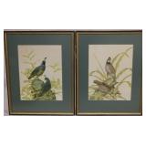 Pair of Bird Prints