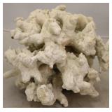 Dimond Home Gnarl Decor Reef