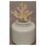Dimond Home Bois Blanc Coral Jar