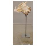 Sterling Spider Conch on stand