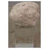 Dimond Home Grand Duchess Shell