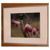 Flowers Framed Print