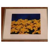 Flowers Framed Print