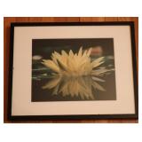 Flower Framed Print