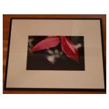 Flower Framed Print