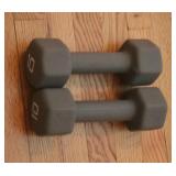Pair of 10lb Weights (2pcs)