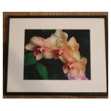 Flower Framed Print