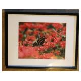 Framed Flower Print