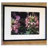Framed Flower Print