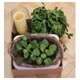 Tray Lot of Assorted Items