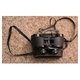 Vintage Binoculars w/ Case