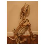 Halloween Decoration