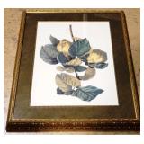 Framed Floral Print 24"x30"