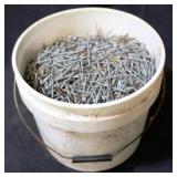 Bucket of Nails