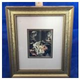 Cherub Framed Print