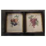Pair of framed Fruit Prints 2pc.