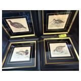 Set of 4 Black & Gold Framed Bird prints