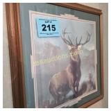 WILDLIFE PRINT