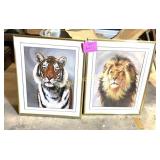LION AND TIGER PICTURES