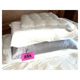 ASST PILLOWS, ONE MEMORY FOAM