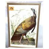 WILD TURKEY PRINT
