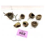 BIRDNESTS