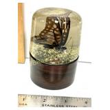 VINTAGE NATURE GEMS BUTTERFLY EMBEDMENT