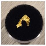 Alaskan Gold Nugget #5