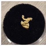Alaskan Gold Nugget #4