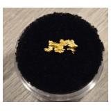 Alaskan Gold Nugget #6