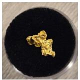 Alaskan Gold Nugget #2