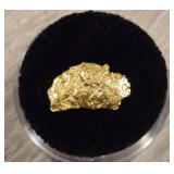 Alaskan Gold Nugget #1