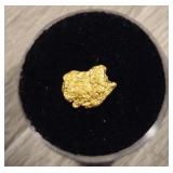 Alaskan Gold Nugget #7