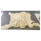 Arctic Fox Pelt