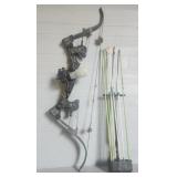 Fishing Compound Bow w/ Arrows