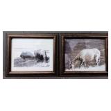 (2) Yellow Stone Black & White Framed Photos