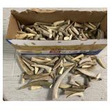 (250) Antler Tips & Tines