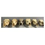 (6) Cleaned Deer Skulls