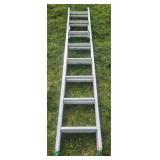 Werner Aluminum Extendable Ladder