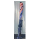 North Sales Wind Surfing Sail w/ Case