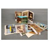 50+ Traveling Post Cards
