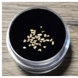 Assortment of Gold Nuggets #2