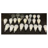 (24) Assortment of Light Bulbs